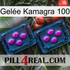Gelée Kamagra 100 03
